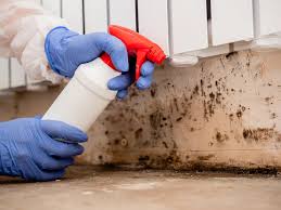 Best Real Estate Mold Inspection  in South Laurel, MD